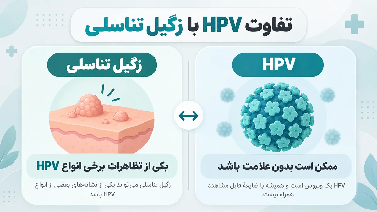 اینفوگرافیک تفاوت عفونت HPV و زگیل تناسلی